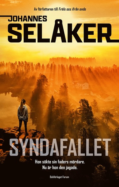 Syndafallet (inbunden)