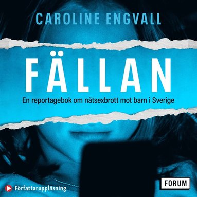 Fllan : en reportagebok om ntsexbrott mot barn i Sverige (ljudbok)