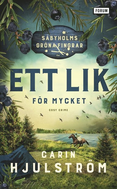 Ett lik fr mycket (pocket)