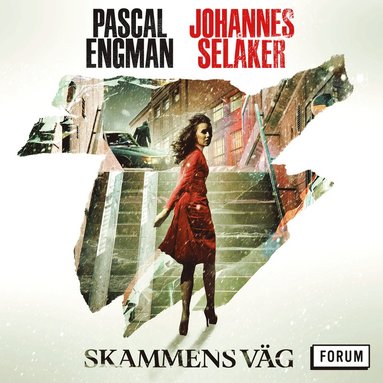 Skammens vg (inbunden)