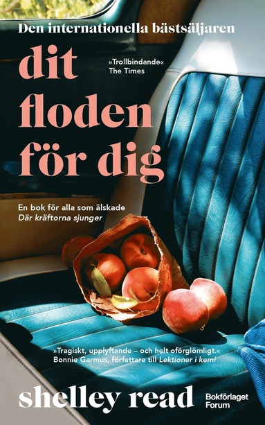 Dit floden fr dig (pocket)