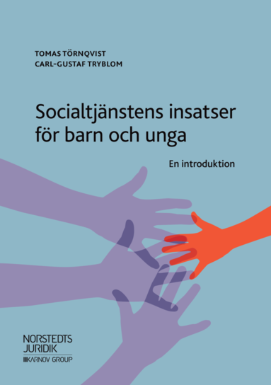 Socialtjnstens insatser fr barn och unga : en introduktion (hftad)