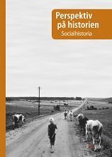 Perspektiv p historien Socialhistoria (hftad)