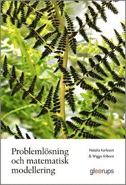 Problemlösning och matematisk modellering (hybridprodukt)