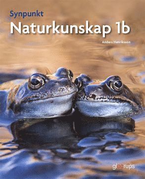 Synpunkt 1b (spel)