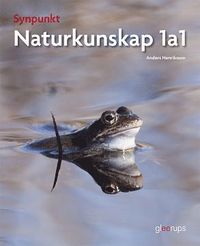 Synpunkt 1a1 som bok, ljudbok eller e-bok.