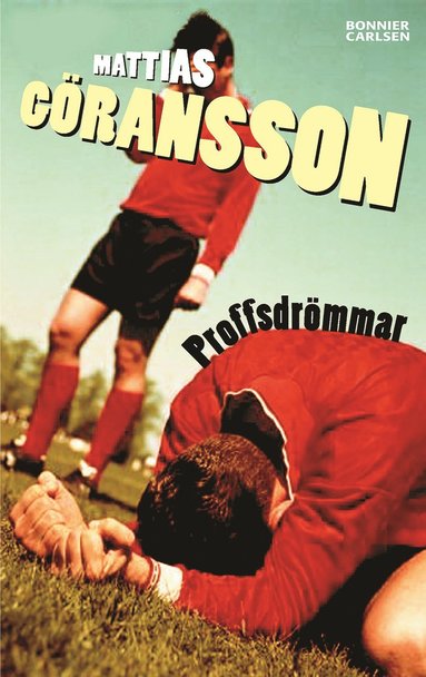 Proffsdrmmar (hybridprodukt)