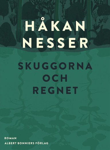 Skuggorna och regnet (e-bok)