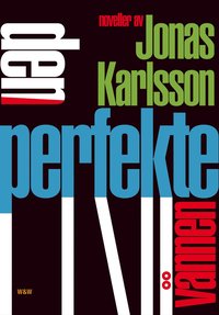 Den perfekte vnnen (e-bok)