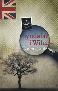Syndafall i Wilmslow (e-bok)