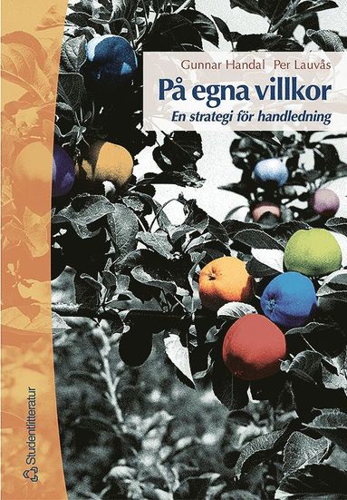 P egna villkor - En strategi fr handledning (kartonnage)