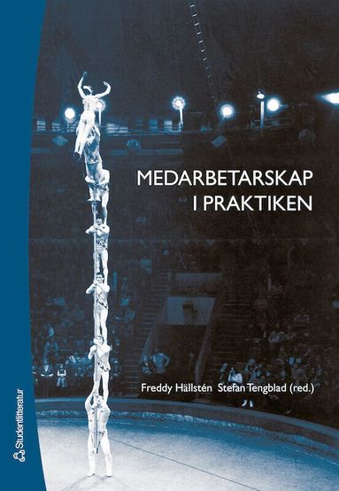 Medarbetarskap i praktiken (h�ftad)