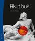 Akut buk : diagnostik och behandling av akut buksmrta