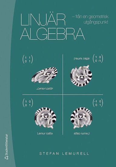 Linjr algebra : frn en geometrisk utgngspunkt (hftad)