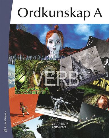 Ordkunskap A Verb (hftad)