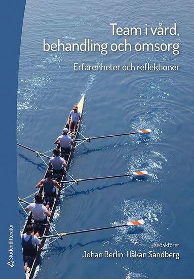 Team i vrd, behandling och omsorg - Erfarenheter och reflektioner (hftad)
