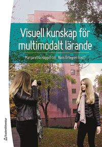 Visuell kunskap fr multimodalt lrande (hftad)