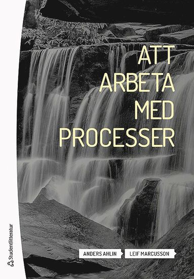 Att arbeta med processer (hftad)