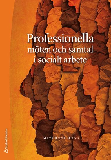 Professionella mten och samtal i socialt arbete (hftad)
