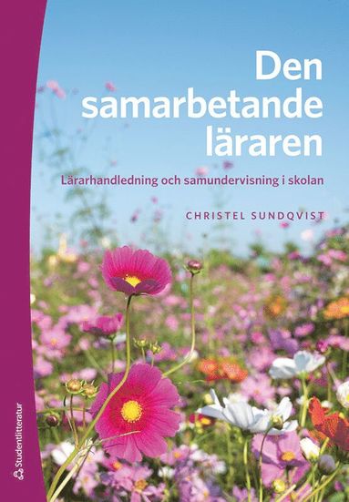 Den samarbetande lraren : lrarhandledning och samundervisning i skolan (hftad)