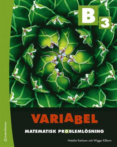 Variabel B3 - Digitalt + Tryckt - Matematisk problemlsning (hybridprodukt)