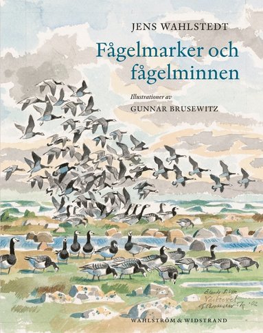 Fågelmarker och fågelminnen (häftad)