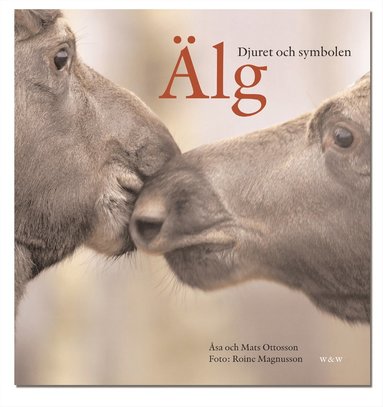 Älg : i skog, myt och gryta (häftad)