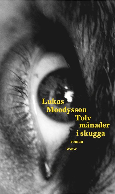 Tolv mnader i skugga