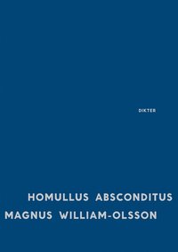 Homullus absconditus (e-bok)