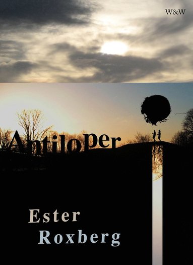 Antiloper (häftad)