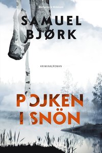 Pojken i snÃ¶n (inbunden)