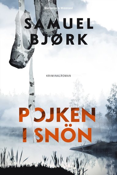 Pojken i snn (pocket)
