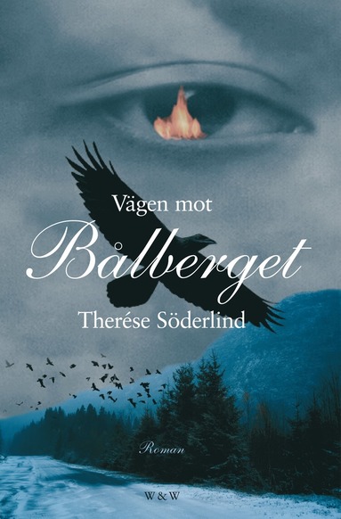 Vgen mot Blberget (inbunden)