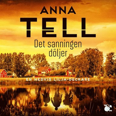 Det sanningen dljer (ljudbok)