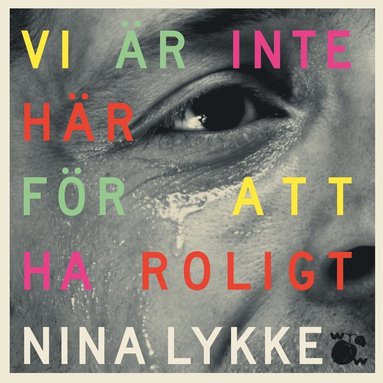 Vi r inte hr fr att ha roligt (ljudbok)