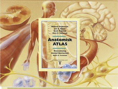 Anatomisk atlas (kartonnage)