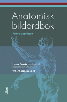 Anatomisk bildordbok (hftad)
