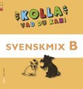 Kolla vad du kan Svenskmix B (hftad)