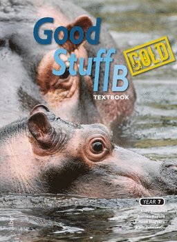 Good Stuff Gold B textbook (hftad)