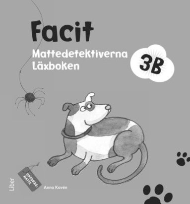 Mattedetektiverna 3B Facit (hftad)