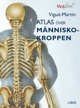 Atlas över människokroppen (häftad)