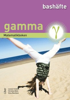 Matematikboken Gamma Bashfte (hftad)