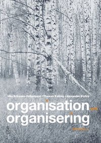 Organisation och organisering (häftad)