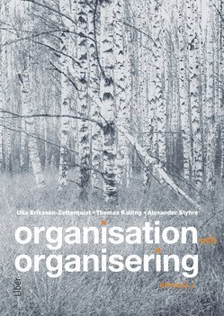 Organisation och organisering (hftad)
