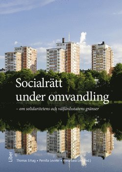 Socialrtt under omvandling : om solidaritet och vlfrdsstatens grnser (hftad)