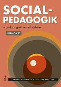 Socialpedagogik : pedagogiskt socialt arbete som bok, ljudbok eller e-bok.