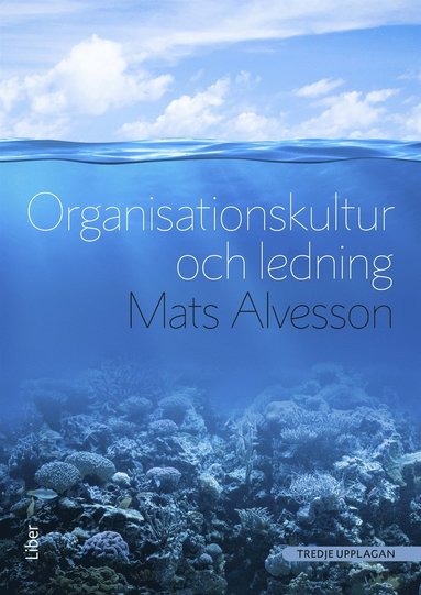 Organisationskultur och ledning (e-bok)