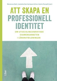 Att skapa en professionell identitet : om utvecklingsinriktade examensarbeten i lrarutbildningen (hftad)