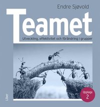 Teamet : Utveckling, effektivitet och förändring i grupper (häftad)