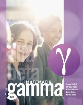 Matematik Gamma Grundbok (hftad)